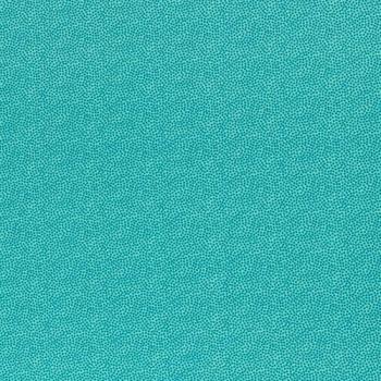 Baumwolle Dotty Petrol/Mint by Swafing